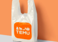 Everything You Need to Know About Temu