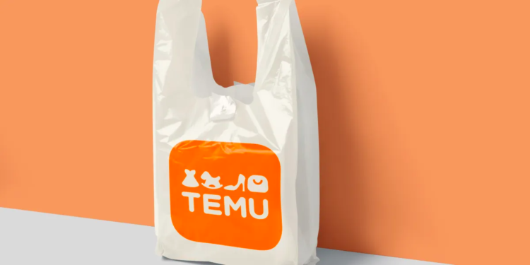 Everything You Need to Know About Temu