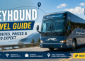 Greyhound Bus Travel Guide: Everything You Need to Know Before Your First Trip